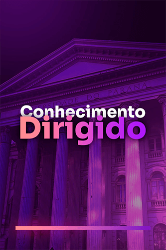 Pace_ufprisights_modulos (18)
